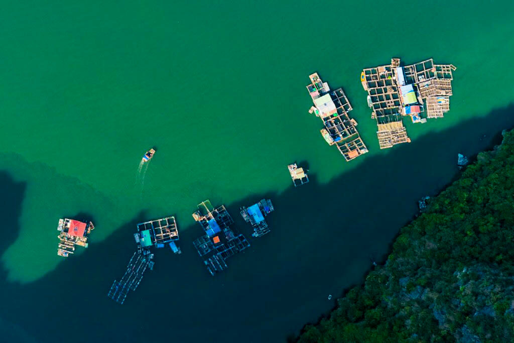 Discover hidden lagoons with Halong Bay Tours